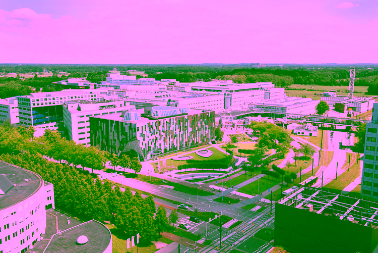 UMCU
